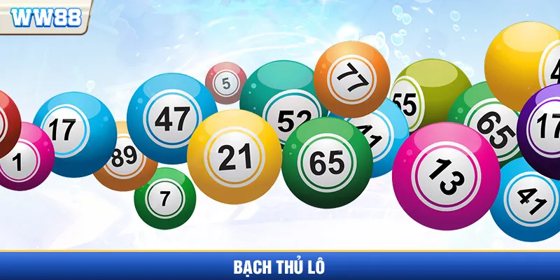 Bạch thủ lô